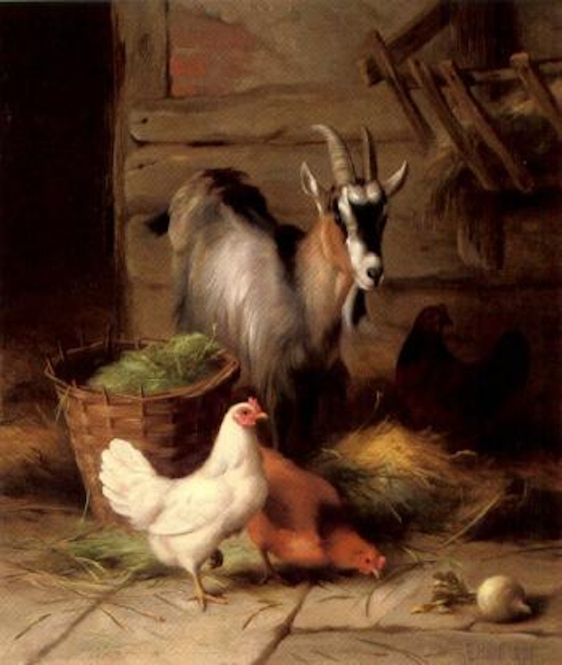 A goat and chickens by Edgar Hunt