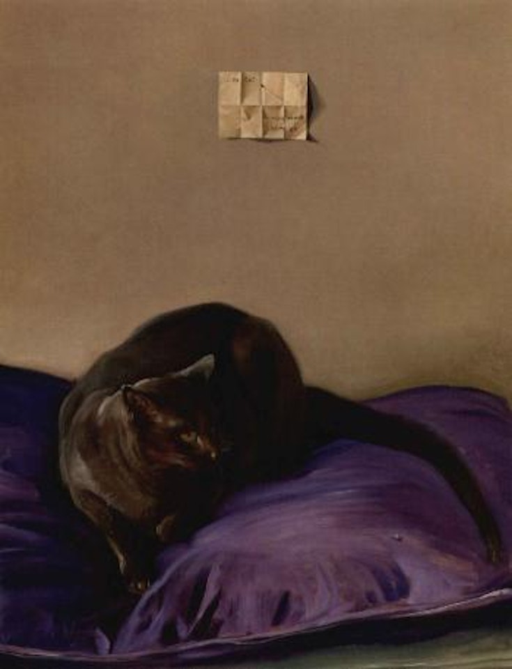 Little cat by Claudio Bravo