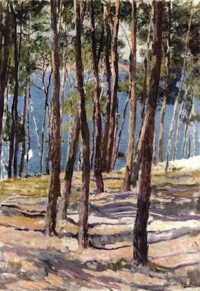 Pinos de Galicia - Pine trees in Galicia by Joaquin Sorolla Y Bastida