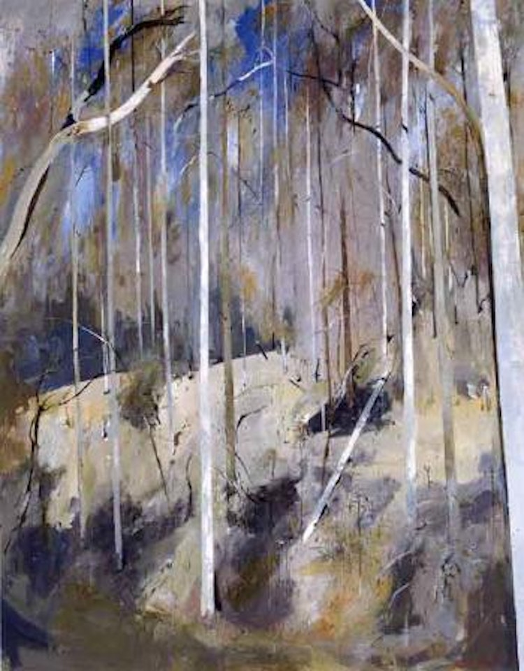Shoalhaven River by Arthur Merric Bloomfield Boyd