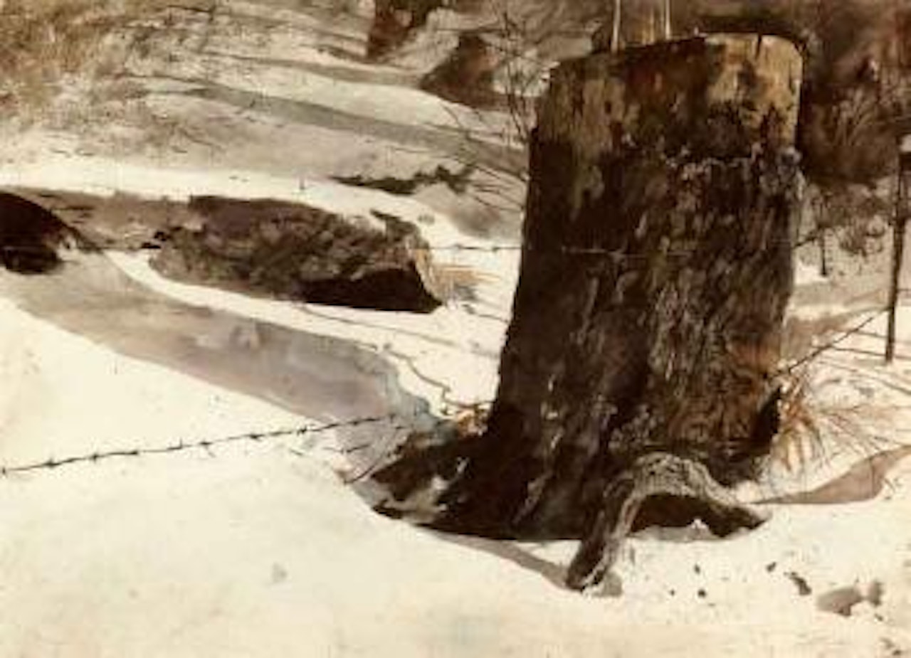 Gum tree by Andrew Wyeth