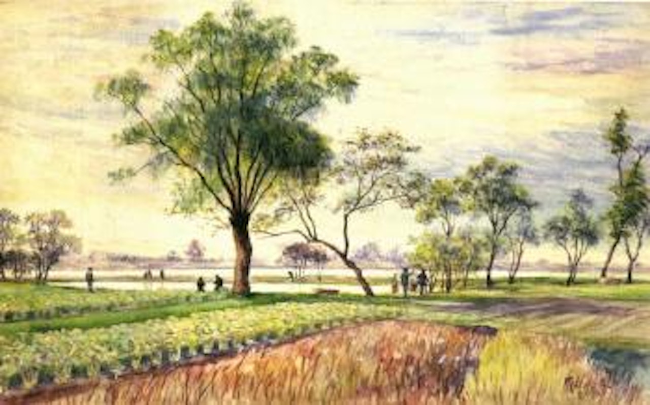 Springtime in the countryside by Lengyue Tao