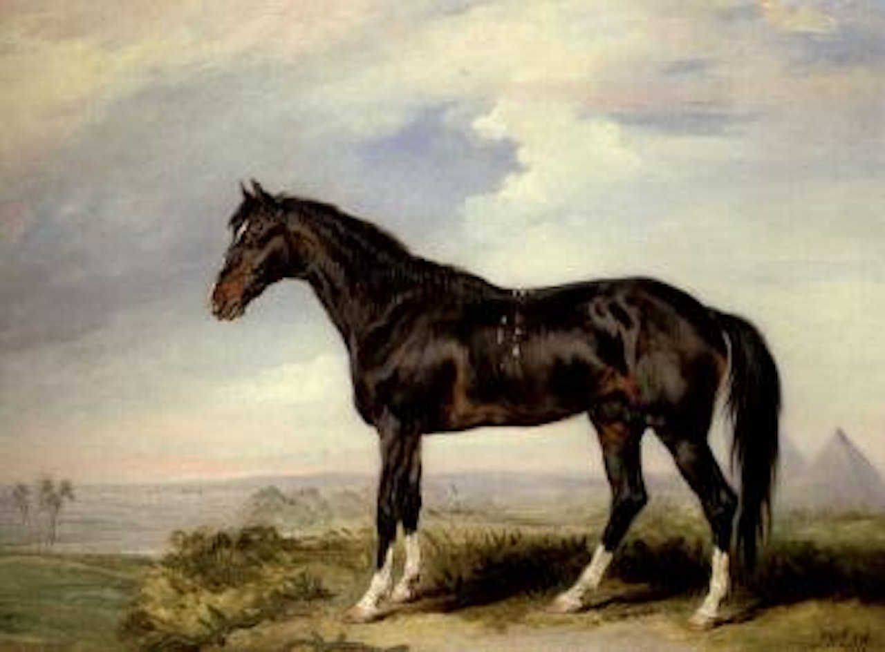 A Dongola stallion from Nubia in an Egyptian landscape with pyramids by James Ward