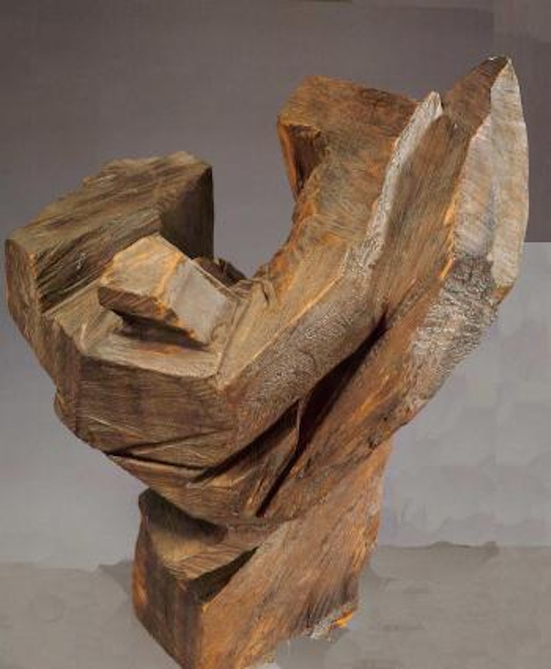 Taiji swing, Taiji Series by Ju Ming