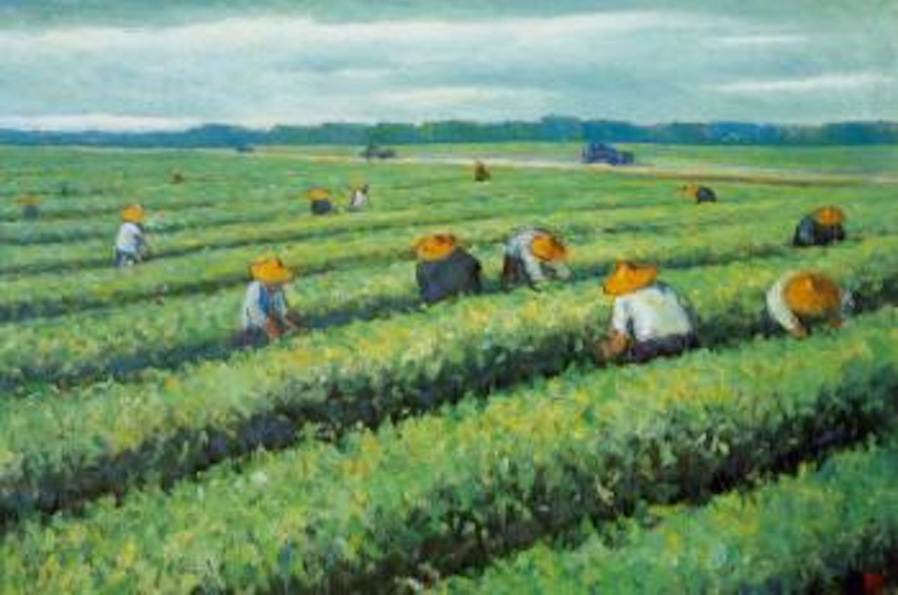 Tea plantation by Yee Bon