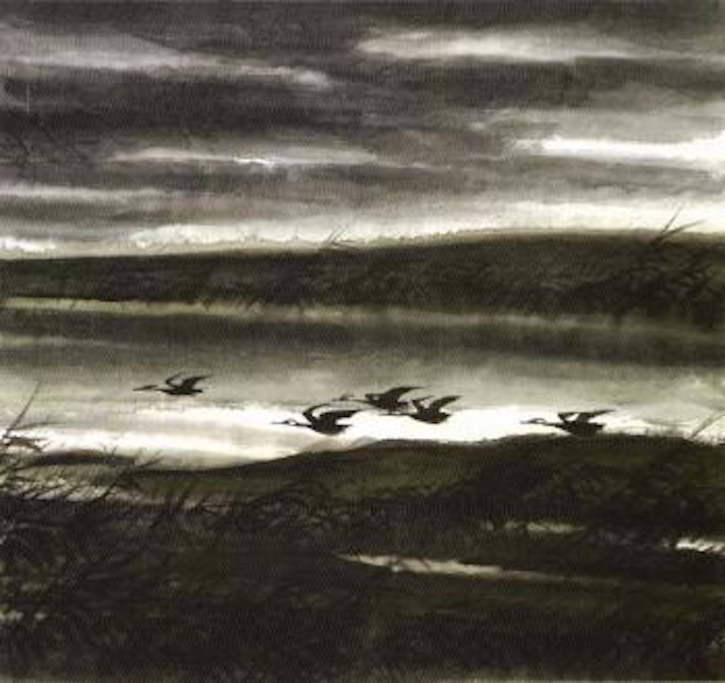 Wild geese and reeds by Lin Fengmian