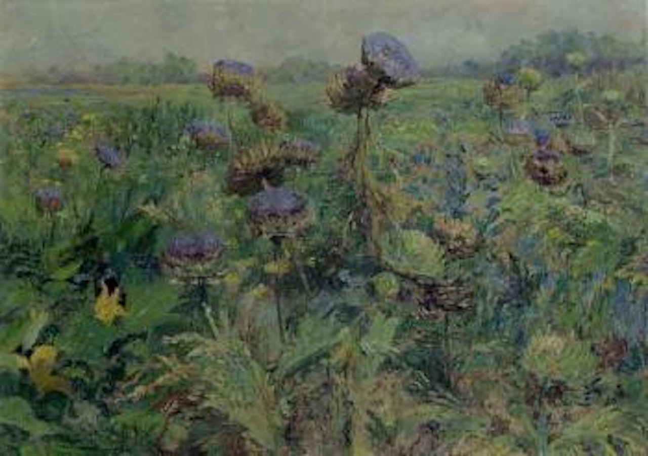 Artichoke blooms in Normandy by Olga Wisinger-Florian
