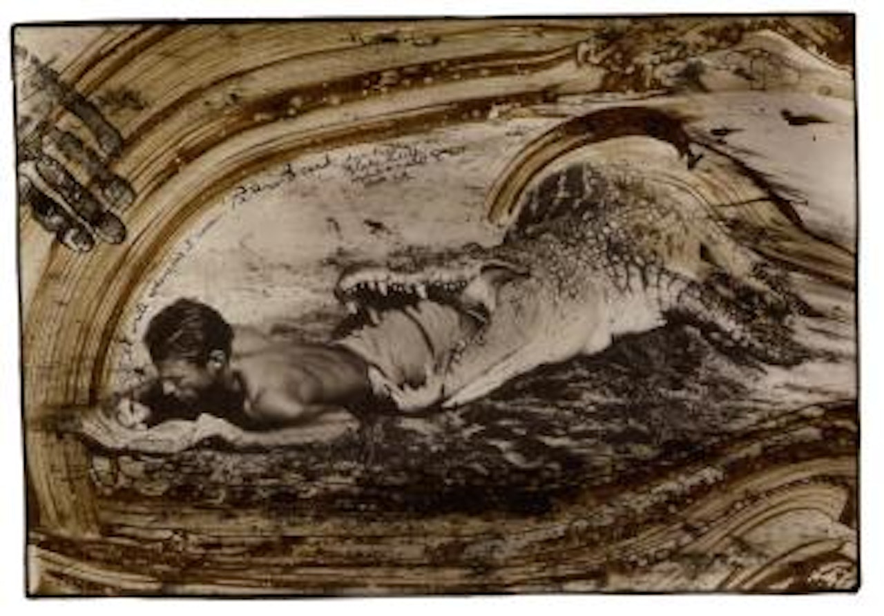 I'll write whenever I can by Peter Beard