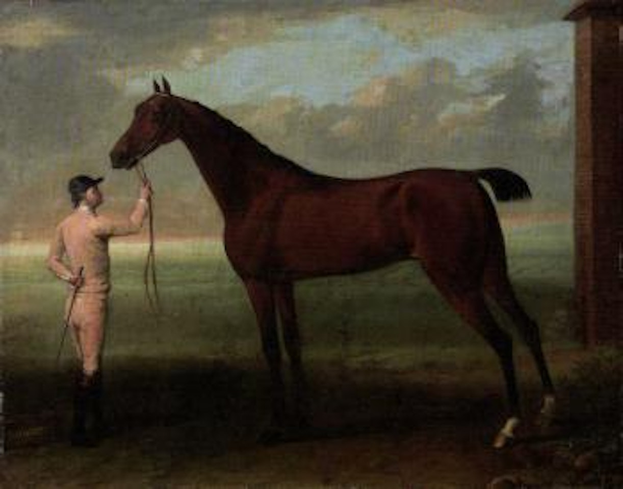 Coquette, Bay Mare by John Wootton