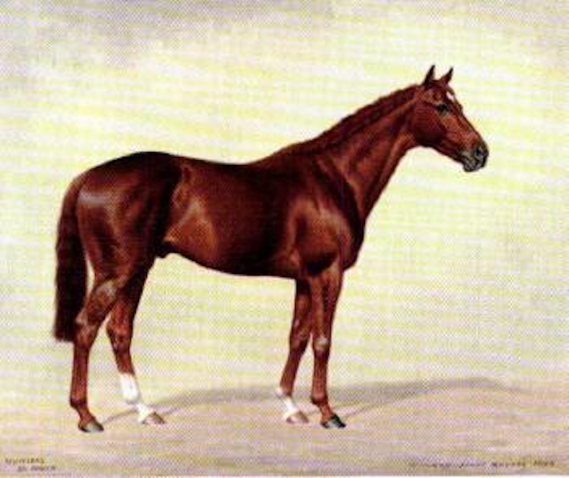 Numeral. Romulus by Richard Stone Reeves