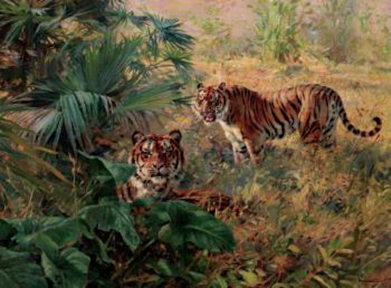 Tigers by Donald Grant