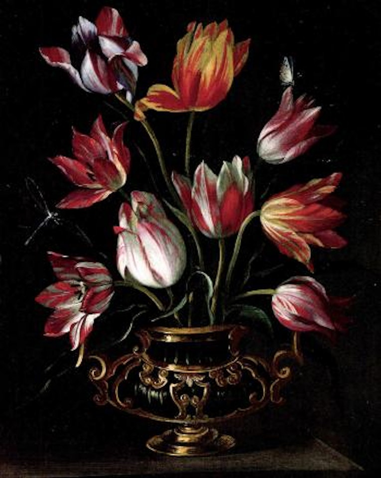Parrot tulips in urn by Abraham Brueghel