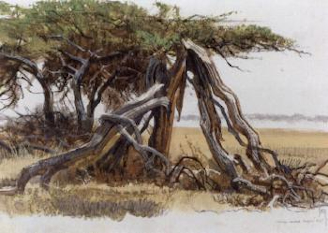 Ngare Ndare Farm by Bob Kuhn