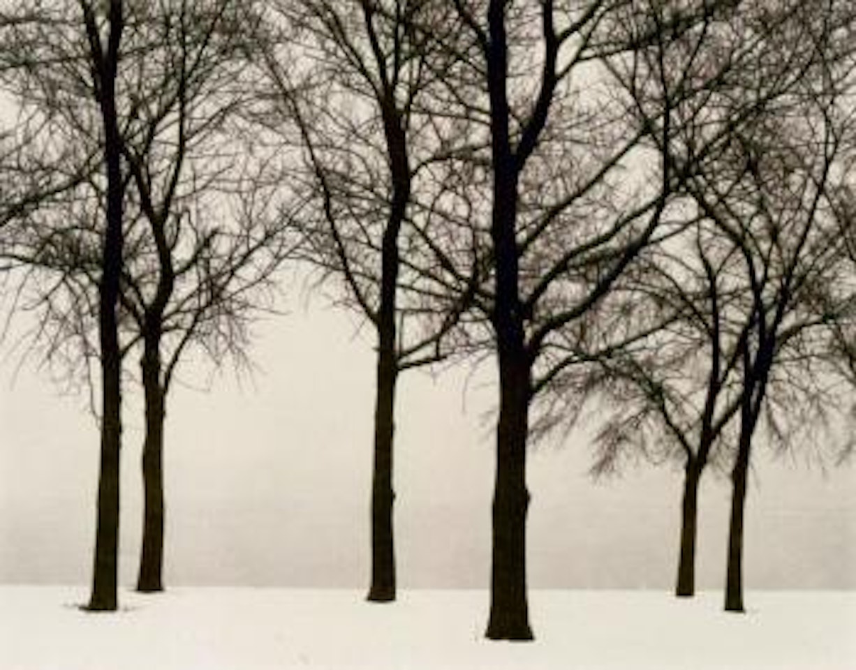 Chicago by Harry Callahan