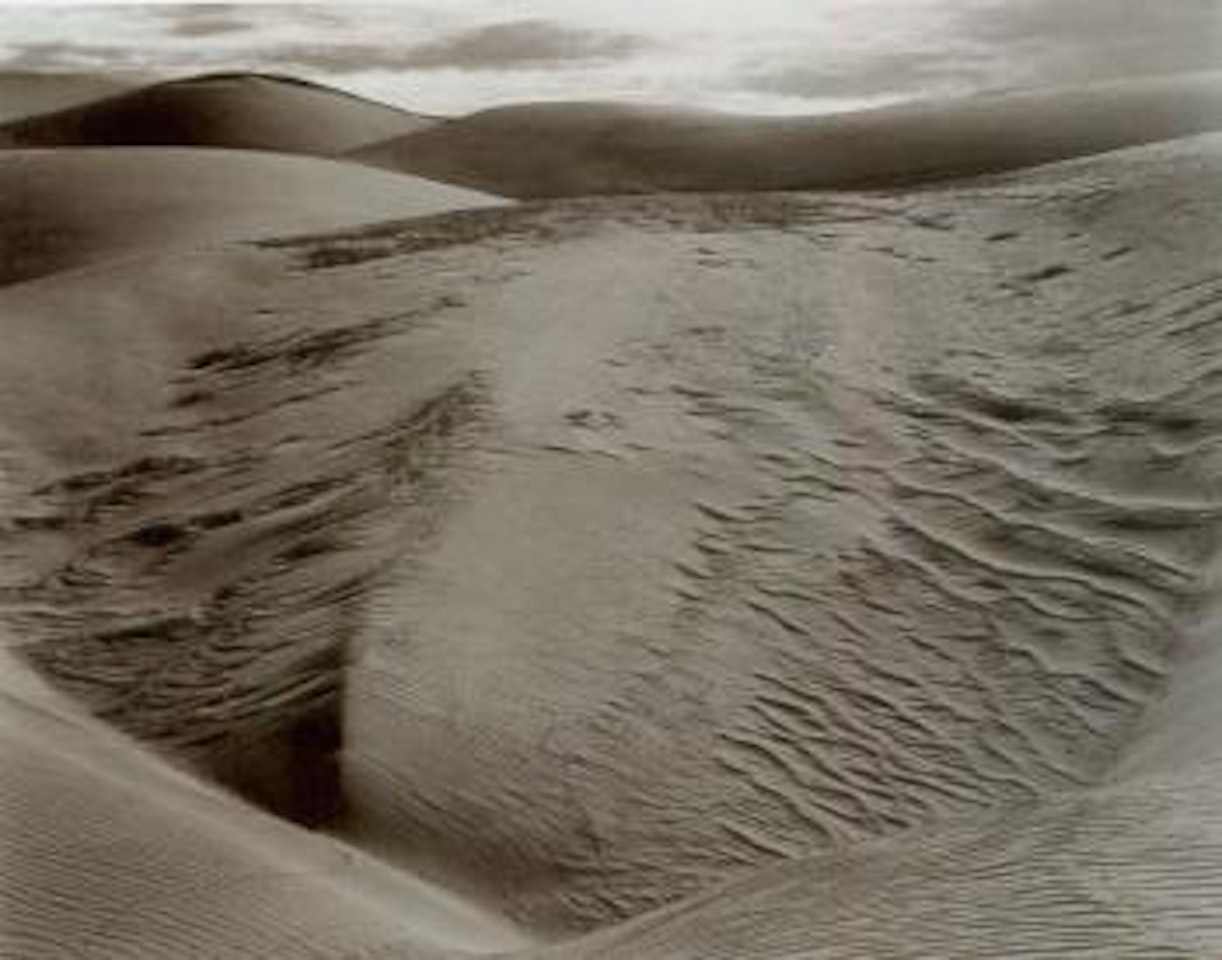 Dunes, Oceano by Edward Weston