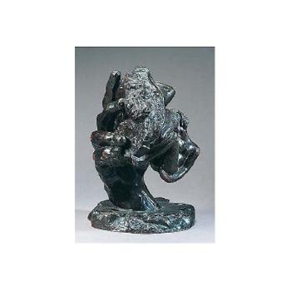 La main de dieu by Auguste Rodin