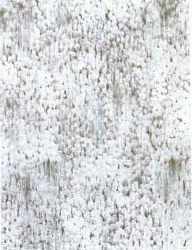Study with white by Callum Innes