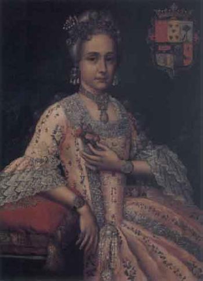 The Countess of Monte Alegre by Spanish School