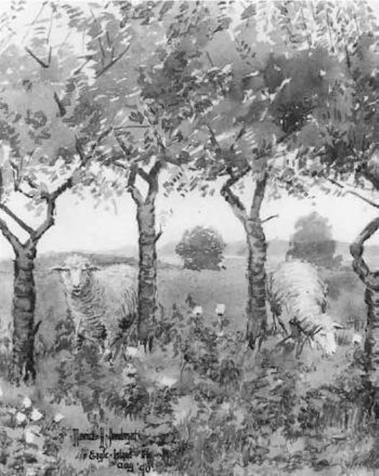 Sheep in meadow by Maurice Prendergast