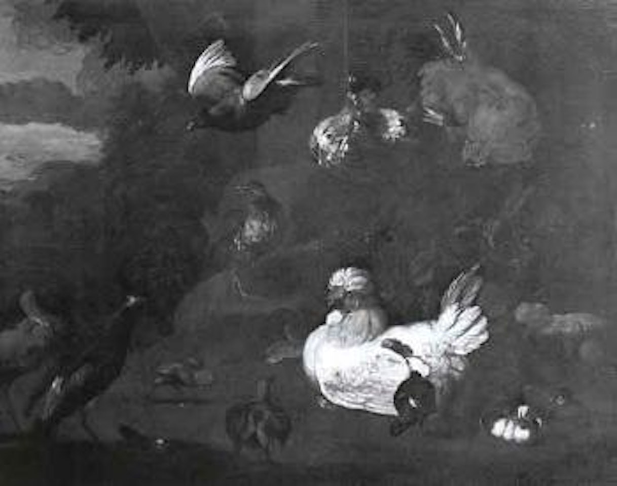 Chickens, lapwing, pigeons and other birds in a classical landscape by Melchior de Hondecoeter
