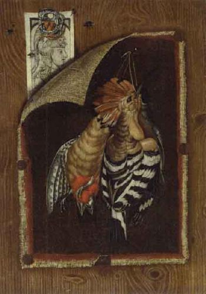 Trompe l'oeils, woodlarks, finches, woodpie, and hoopoo hanging from nails by German School