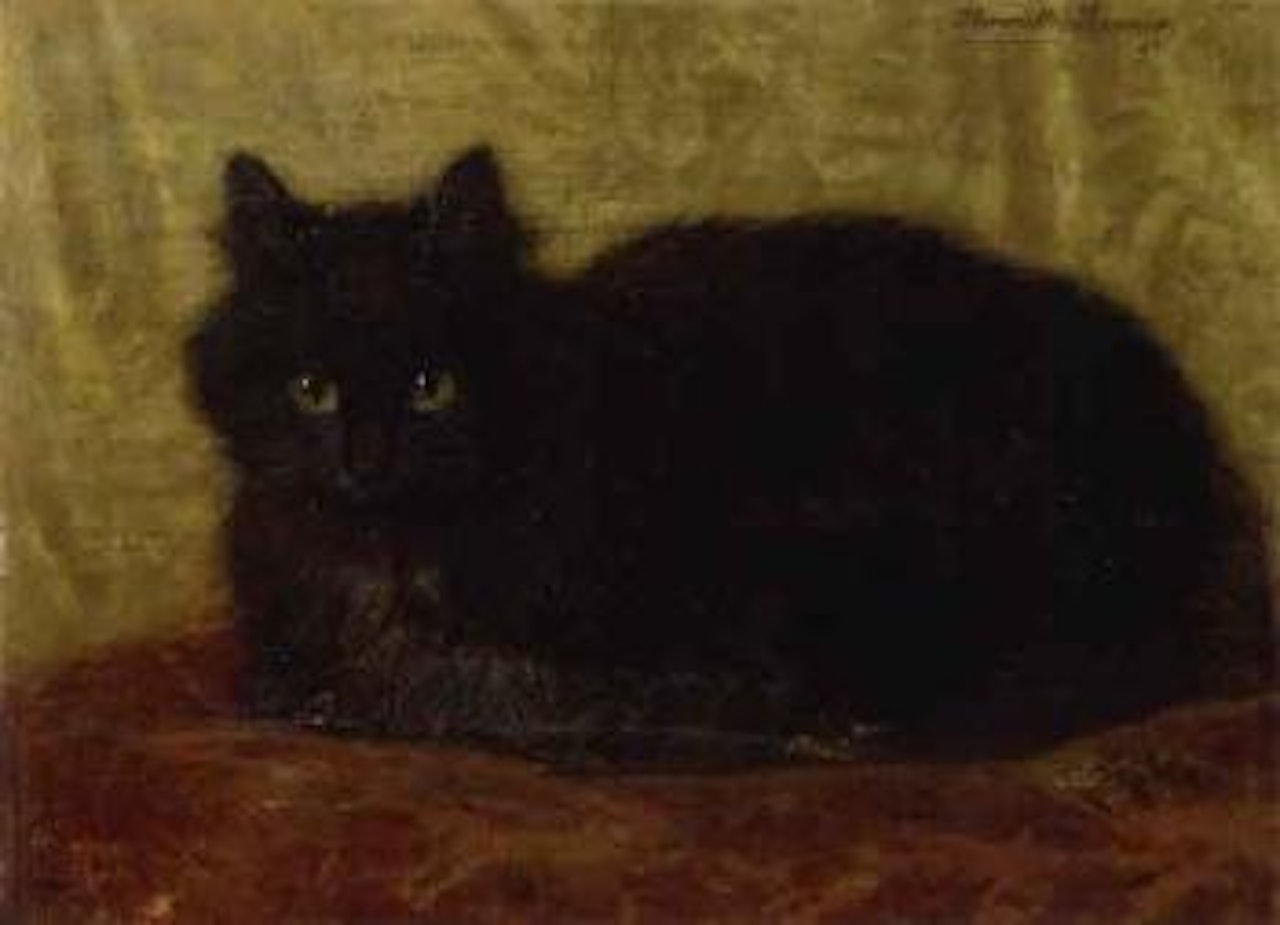 Black cat by Henriette Ronner-Knip