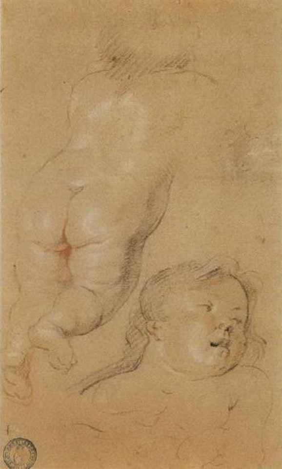 Deux etudes de putti by Jacob Jordaens