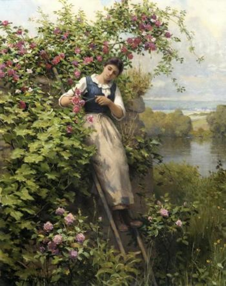 Cutting the roses by Daniel Ridgway Knight