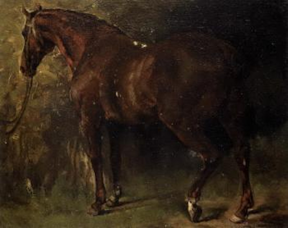 Le cheval anglais de M.Duval by Gustave Courbet