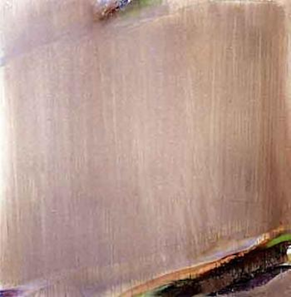 Grise foncee, hiver de Loire by Olivier Debre