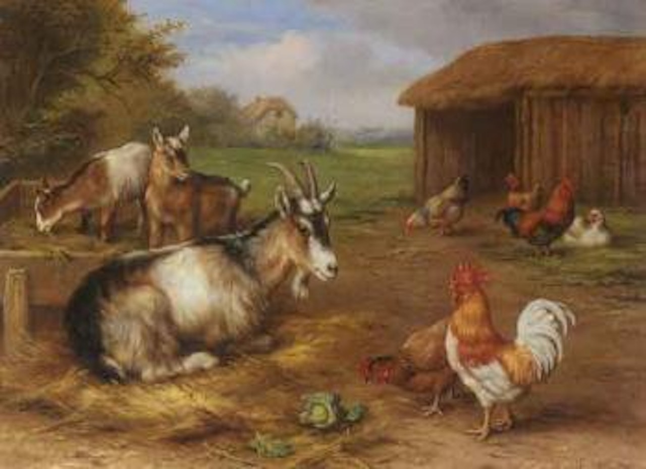 Farmyard scene with goats and chickens. Rabbits and goat feeding with chickens, pigeons and dove by Edgar Hunt