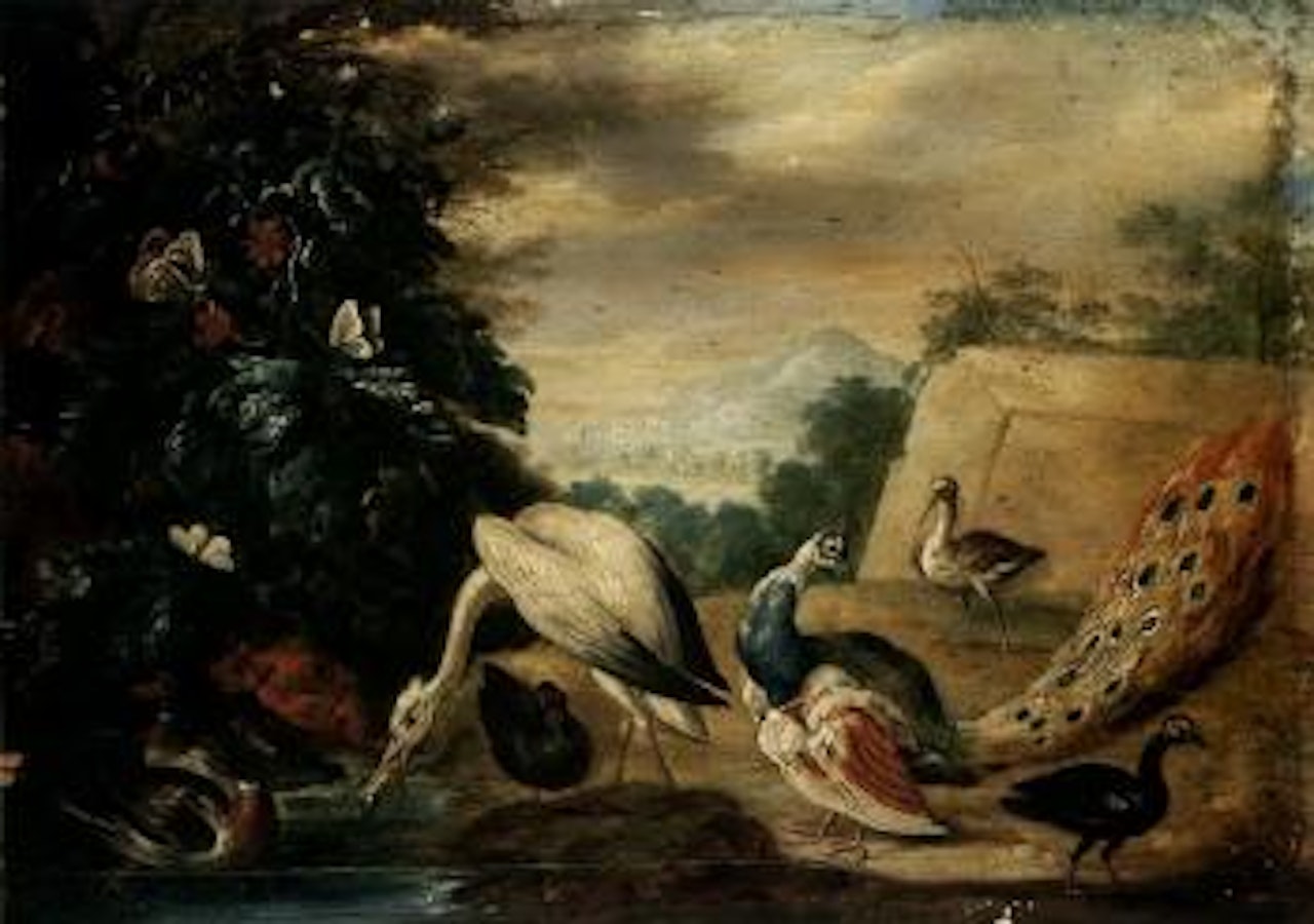 Landscapes with a peacock, turkey, pheasant, duck, jay and guinea pigs by Jan Van Kessel The Elder