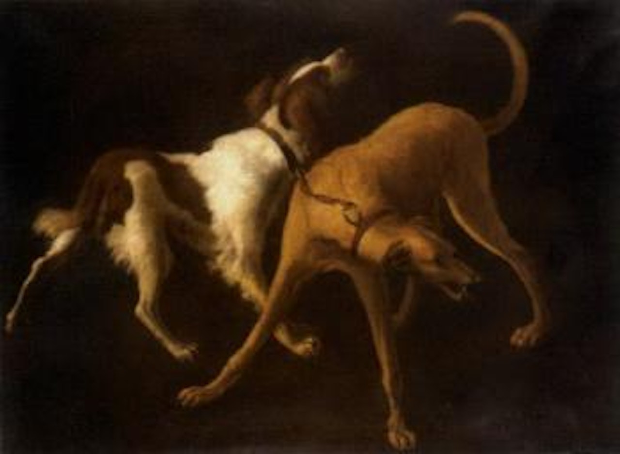 Spaniel and a lurcher by Jan Weenix