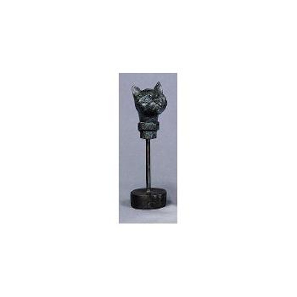 Tete de chat by Diego Giacometti