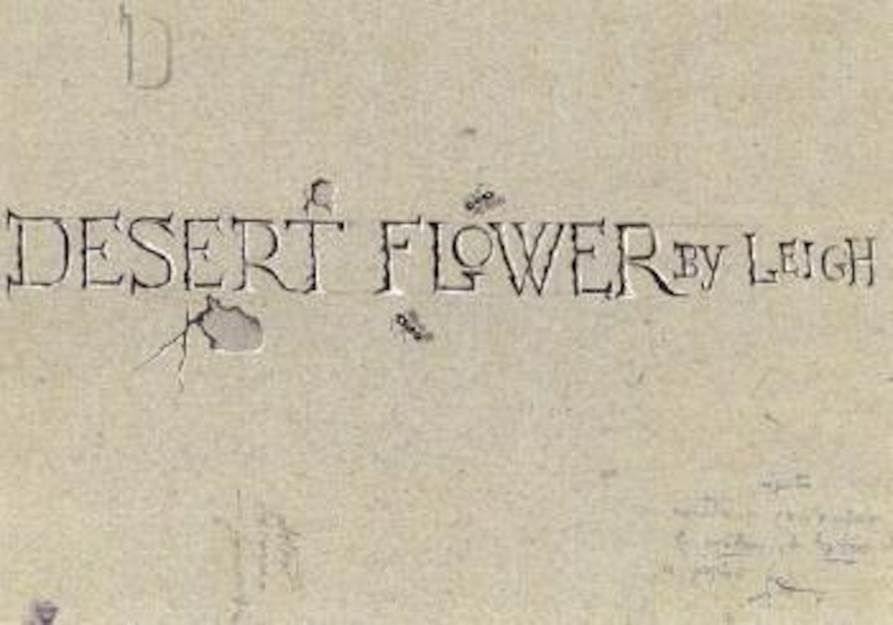 Sketch for desert flower by Salvador Dali