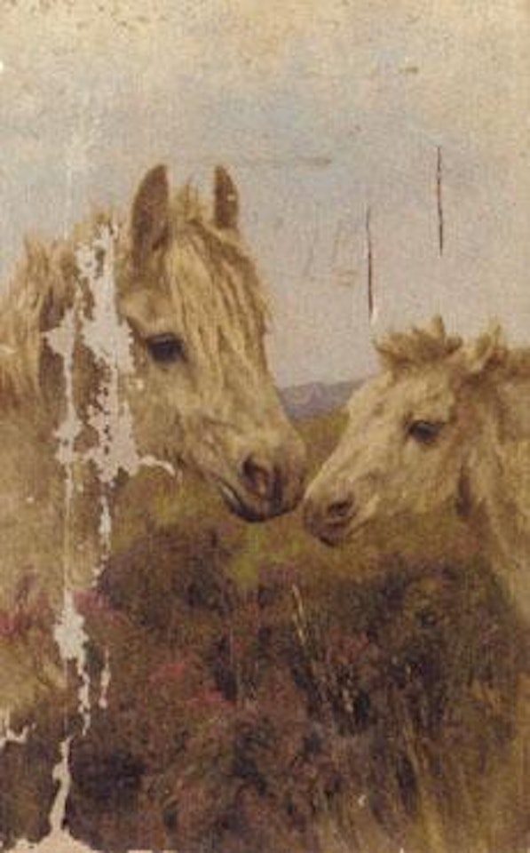 Shetland ponies by Arthur Wardle