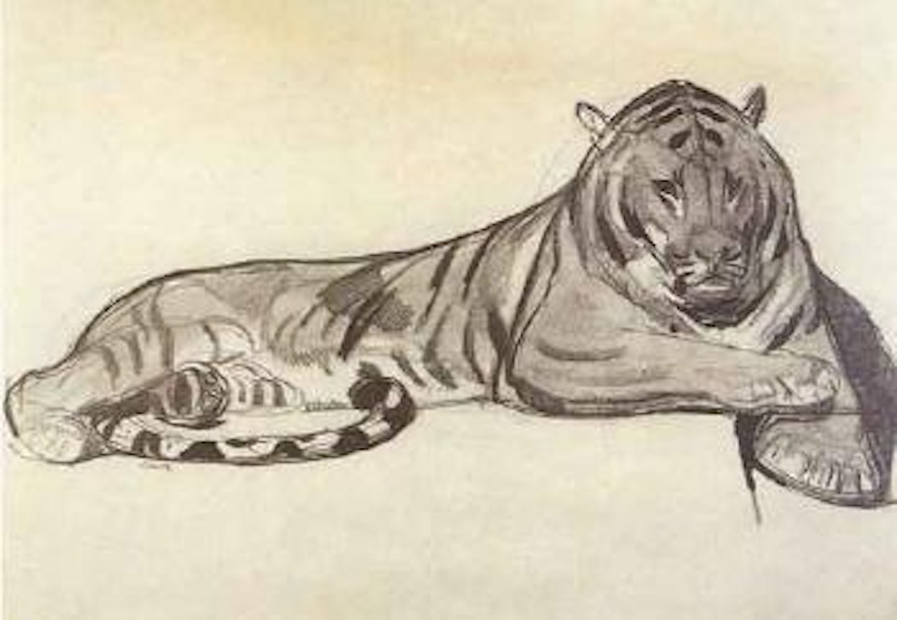 Tigre allonge by Paul Jouve