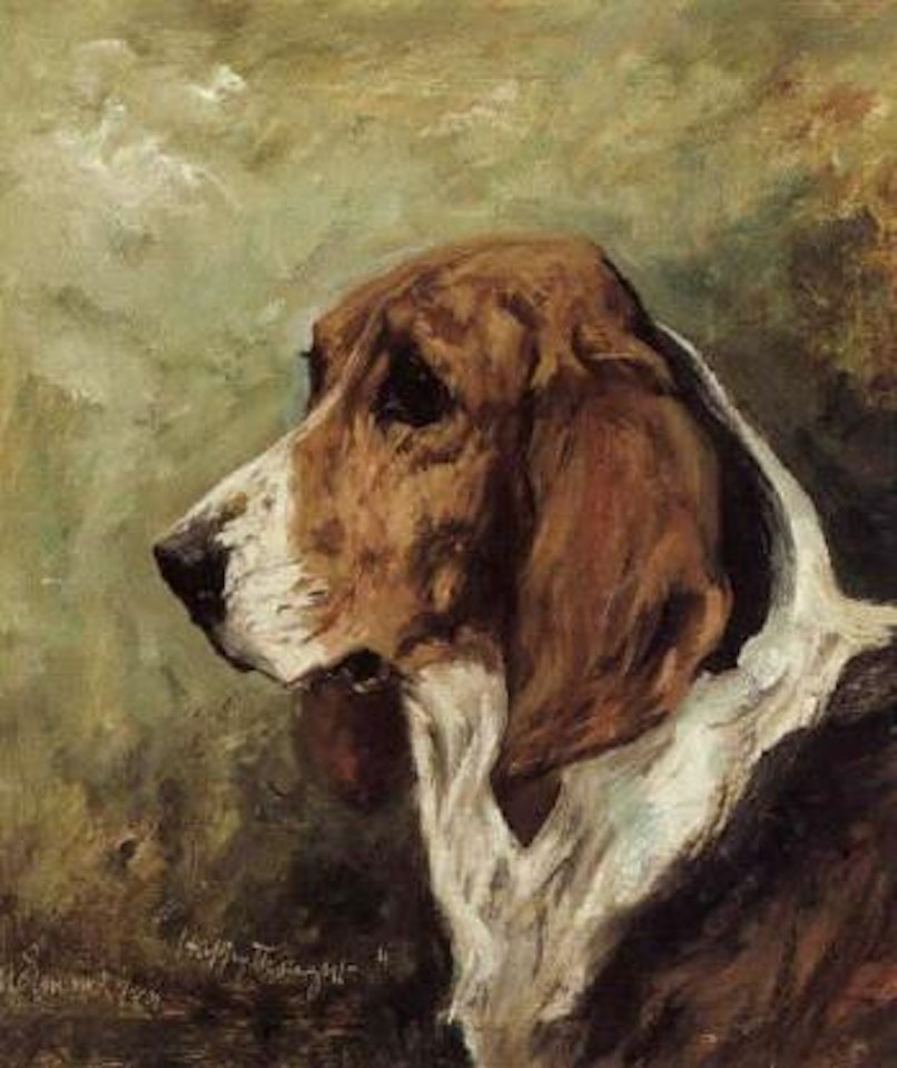 Study of the fox hound Happy Thought by John Emms