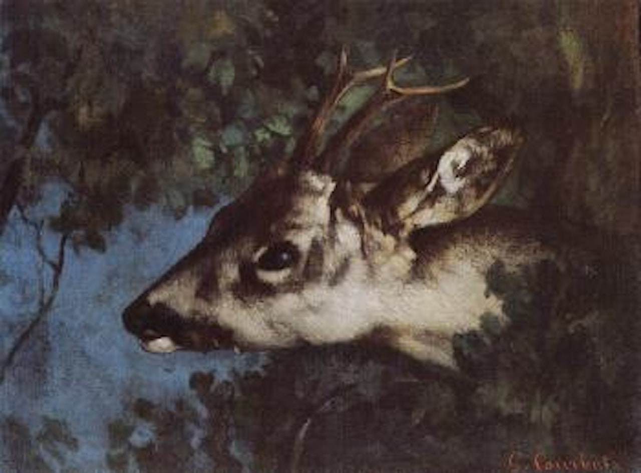 Tete de chevreuil by Gustave Courbet