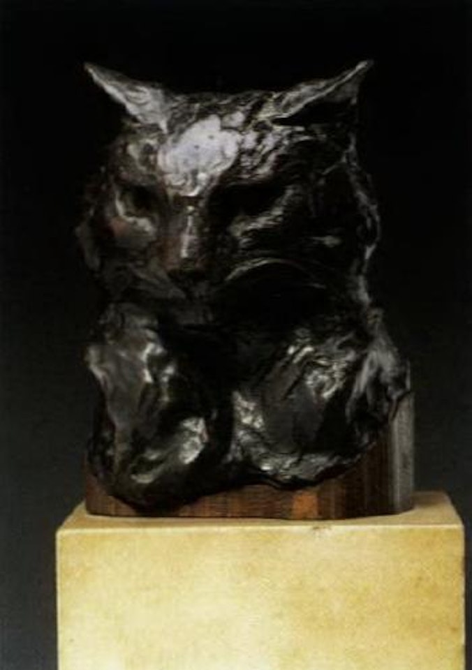 Portrait of cat by French School