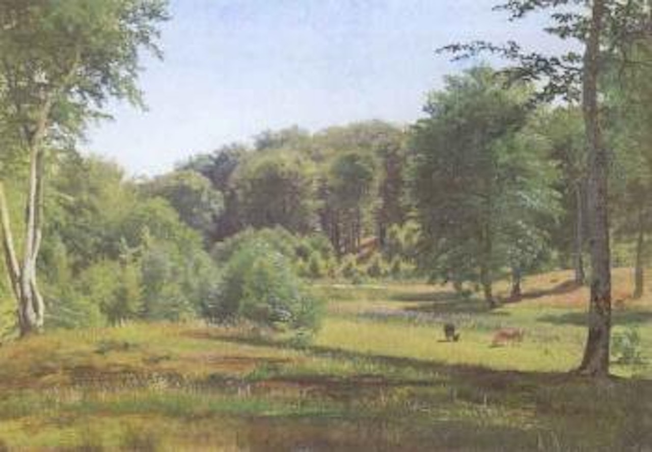 Extensive landscape with cattle grasing by Anders Andersen-Lundby