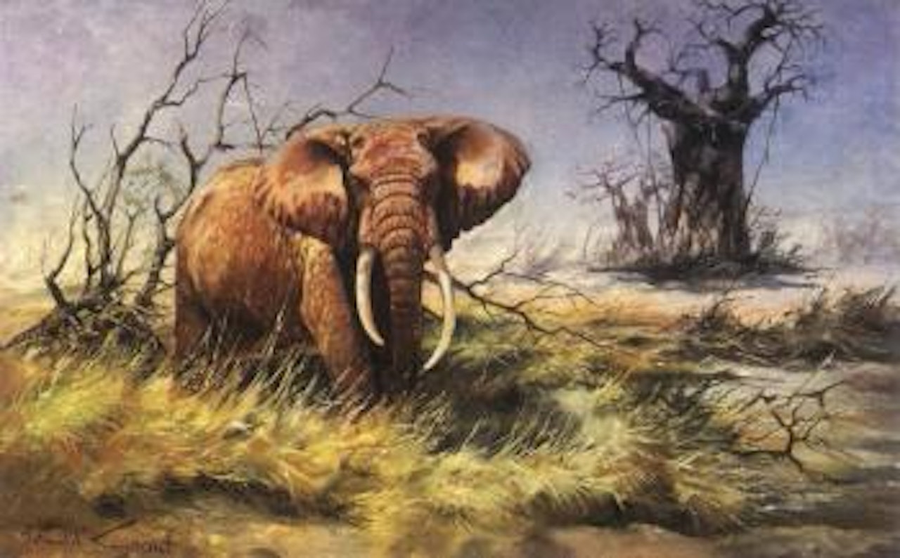 Elephant by Donald Grant