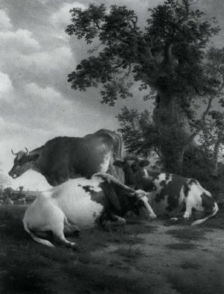 Cattle resting in a landscape by Thomas Sidney Cooper