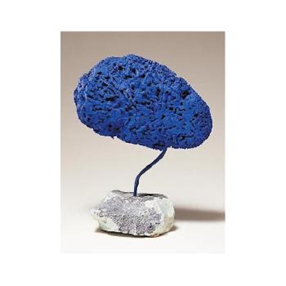 SE 194 by Yves Klein