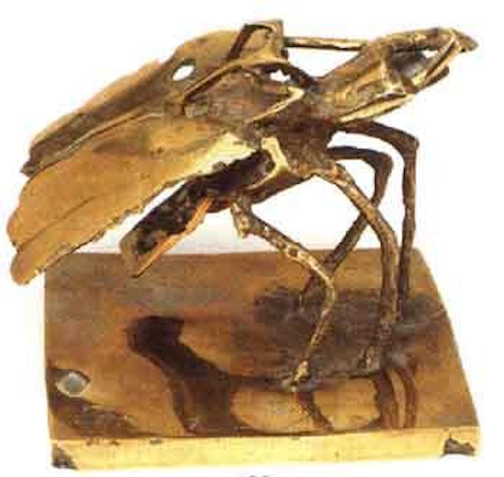 Beetle by César