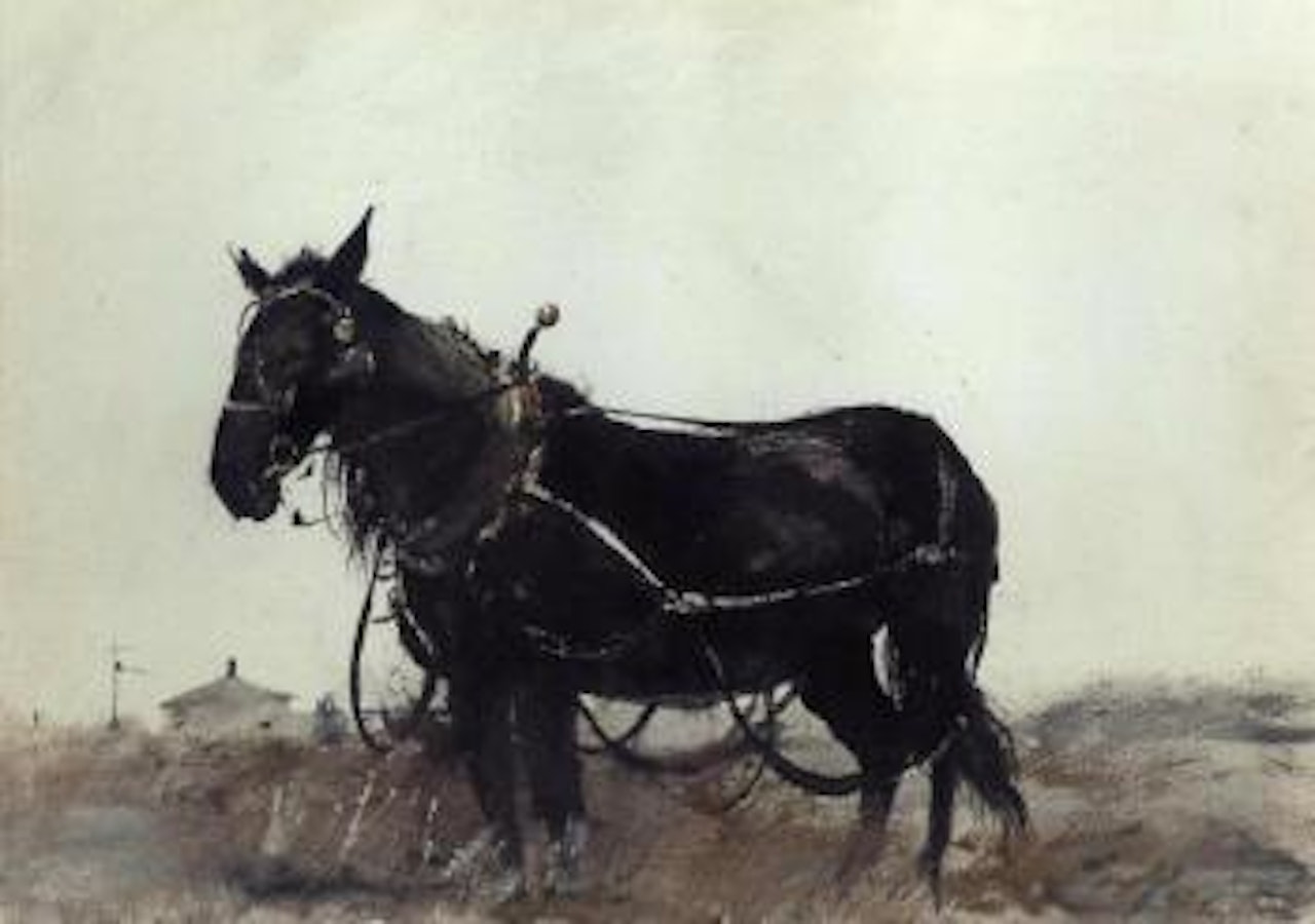 Farmhorse by Andrew Wyeth