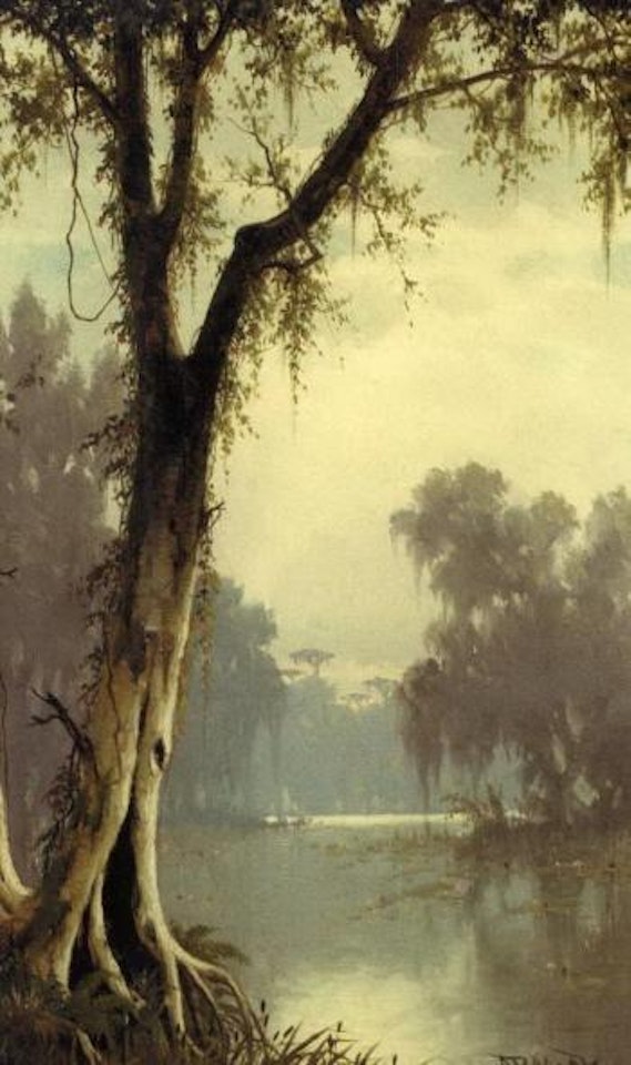 Louisiana Bayou by Joseph R. Meeker