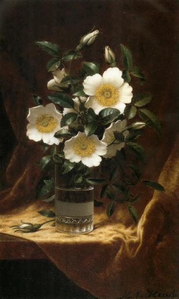 Cherokee roses in a glass by Martin Johnson Heade