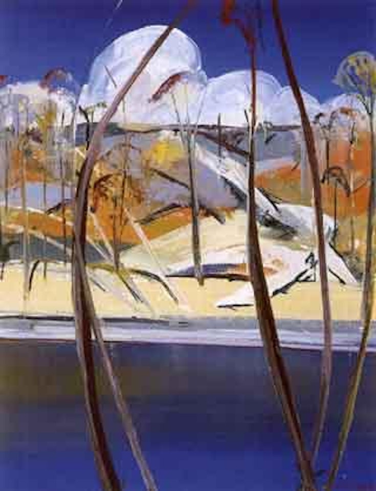 Clouds over Shoalhaven by Arthur Merric Bloomfield Boyd
