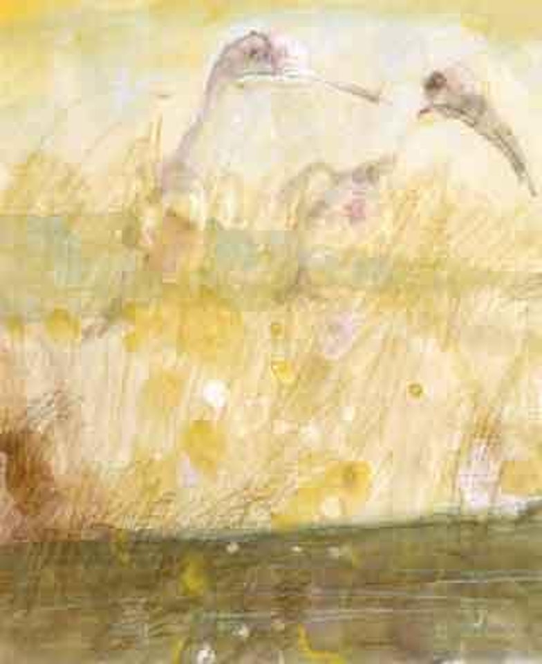 Two birds by John Olsen